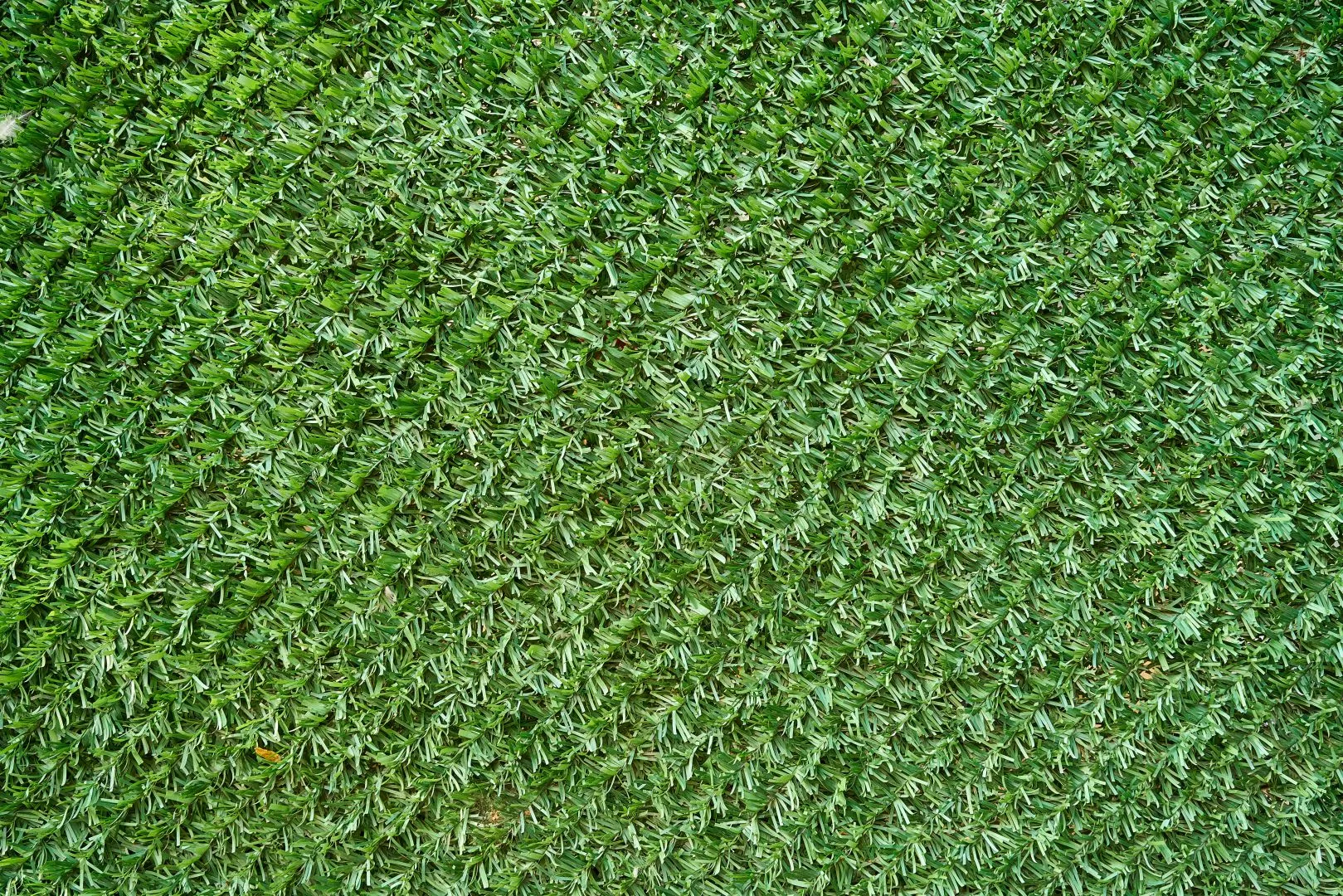 Artificial Grass Ormskirk, Burscough, Parbold